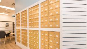 Read more about the article 12 Reasons You Need a Personal Mailbox